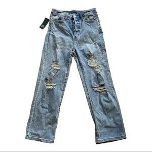 NWT Wild Fable Jeans